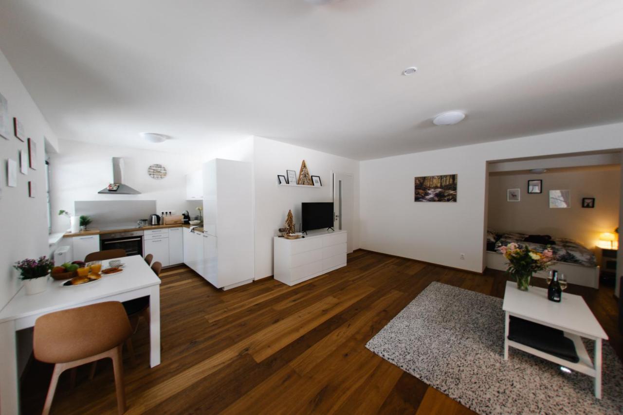 Apartment S Nadhernym Vyhledem V Centru Harrachova Harrachov