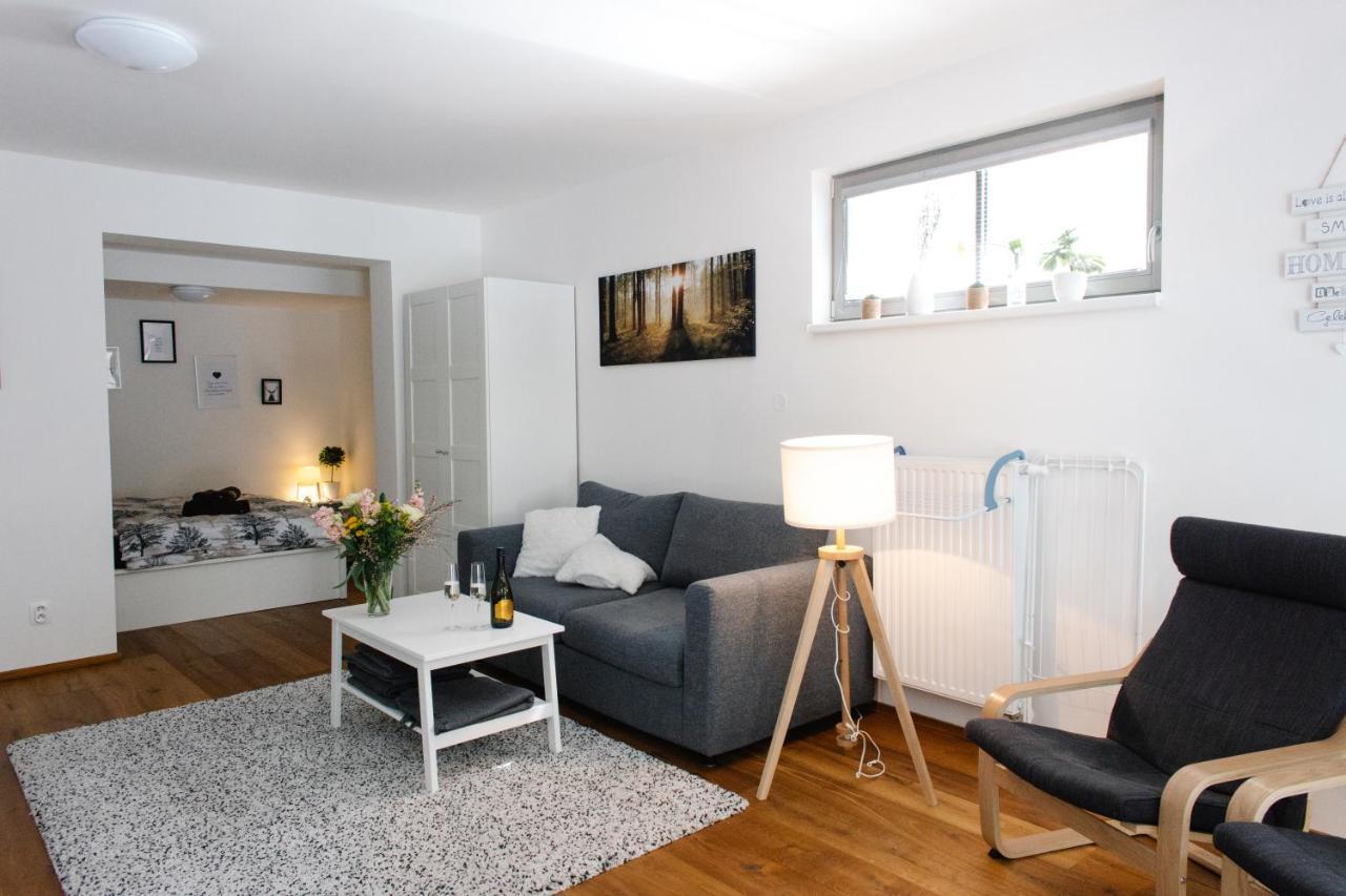 Apartment S Nadhernym Vyhledem V Centru Harrachova